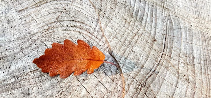 Say good-bye to daylight saving